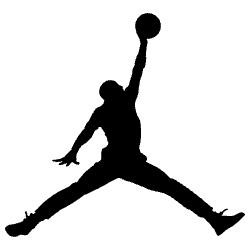 Air Jordan 11